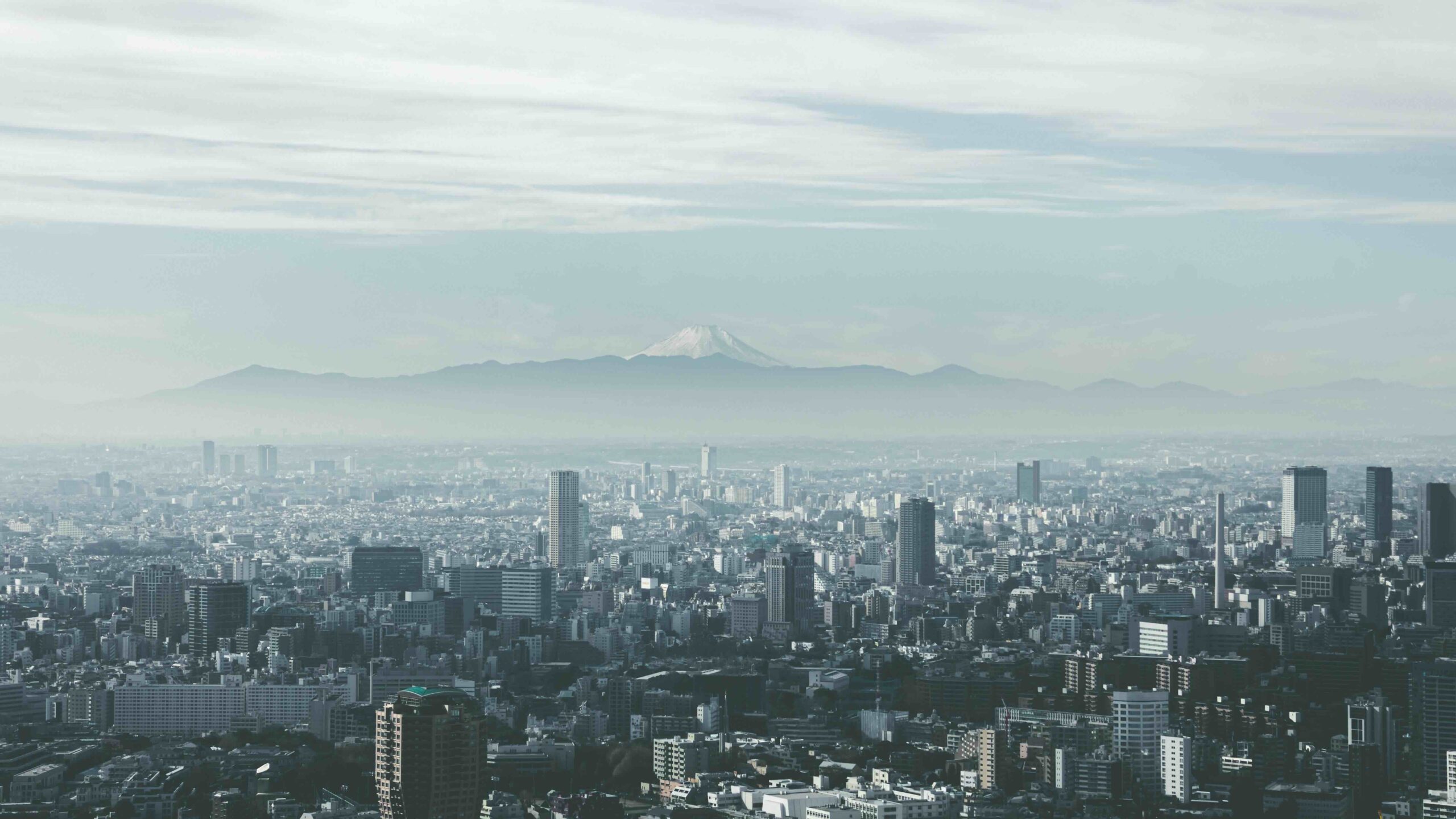 OptiRTP Joins Japan New Zealand Business Council